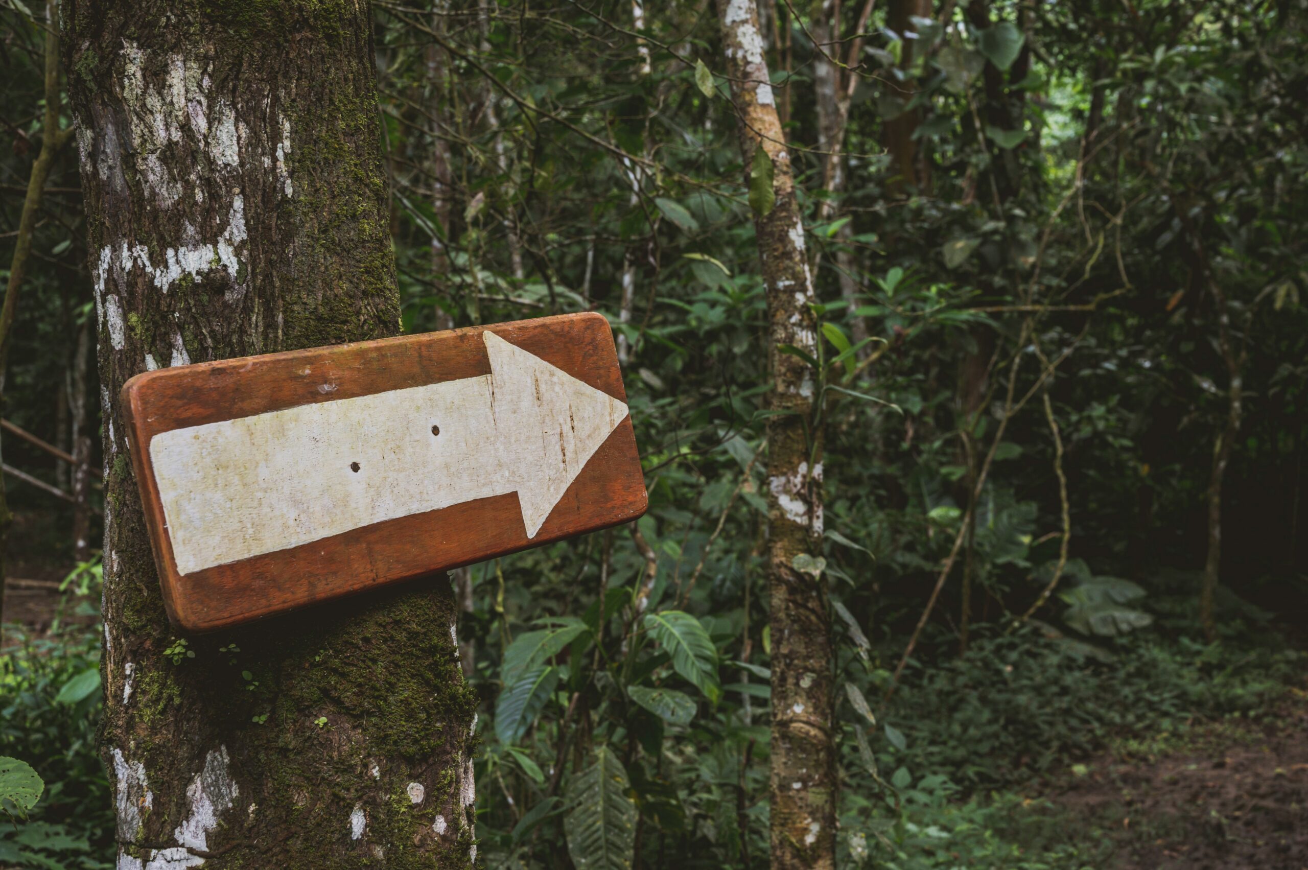 Ena izkušnja, ki mi je spremenila tok življenja