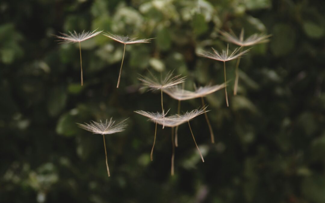 Zakaj se želje ne uresničijo (in kaj te v resnici ustavlja?)