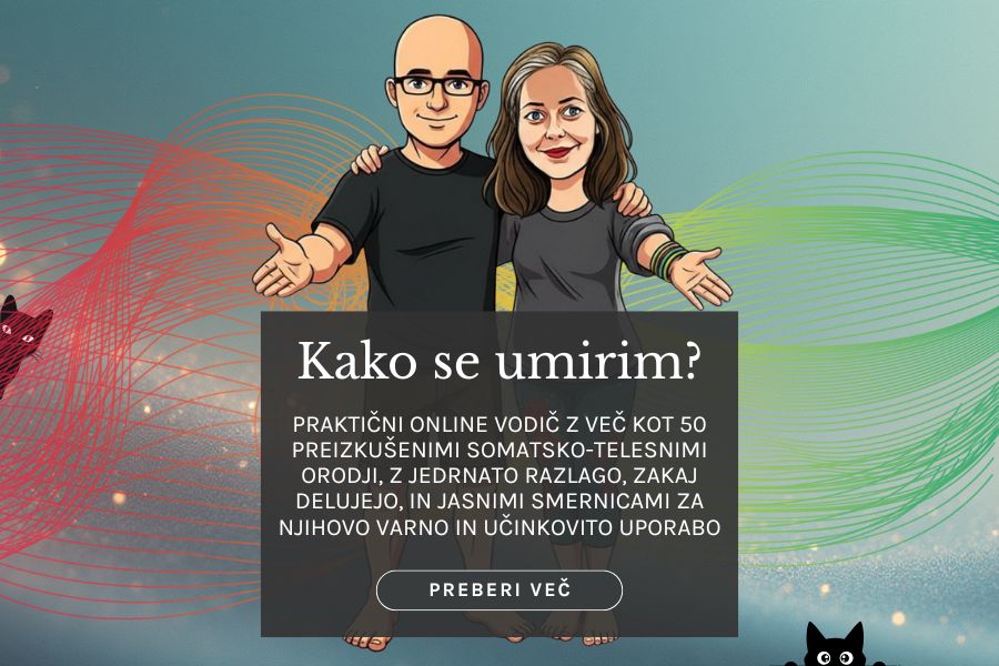 Kako se umirim je praktični online vodič z več kot 50 preizkušenimi somatsko-telesnimi orodji, z jedrnato razlago, zakaj delujejo, in jasnimi smernicami za njihovo varno in učinkovito uporabo.