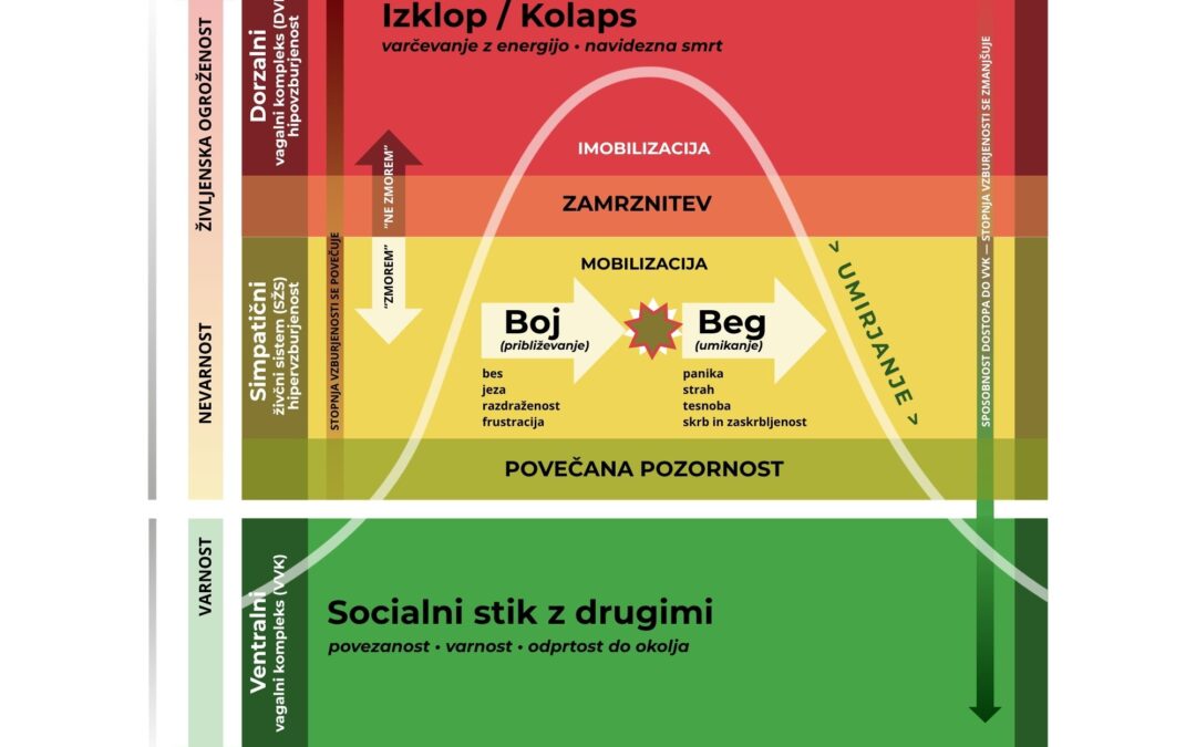 Stres, polivagalna teorija in semafor 3 stanj