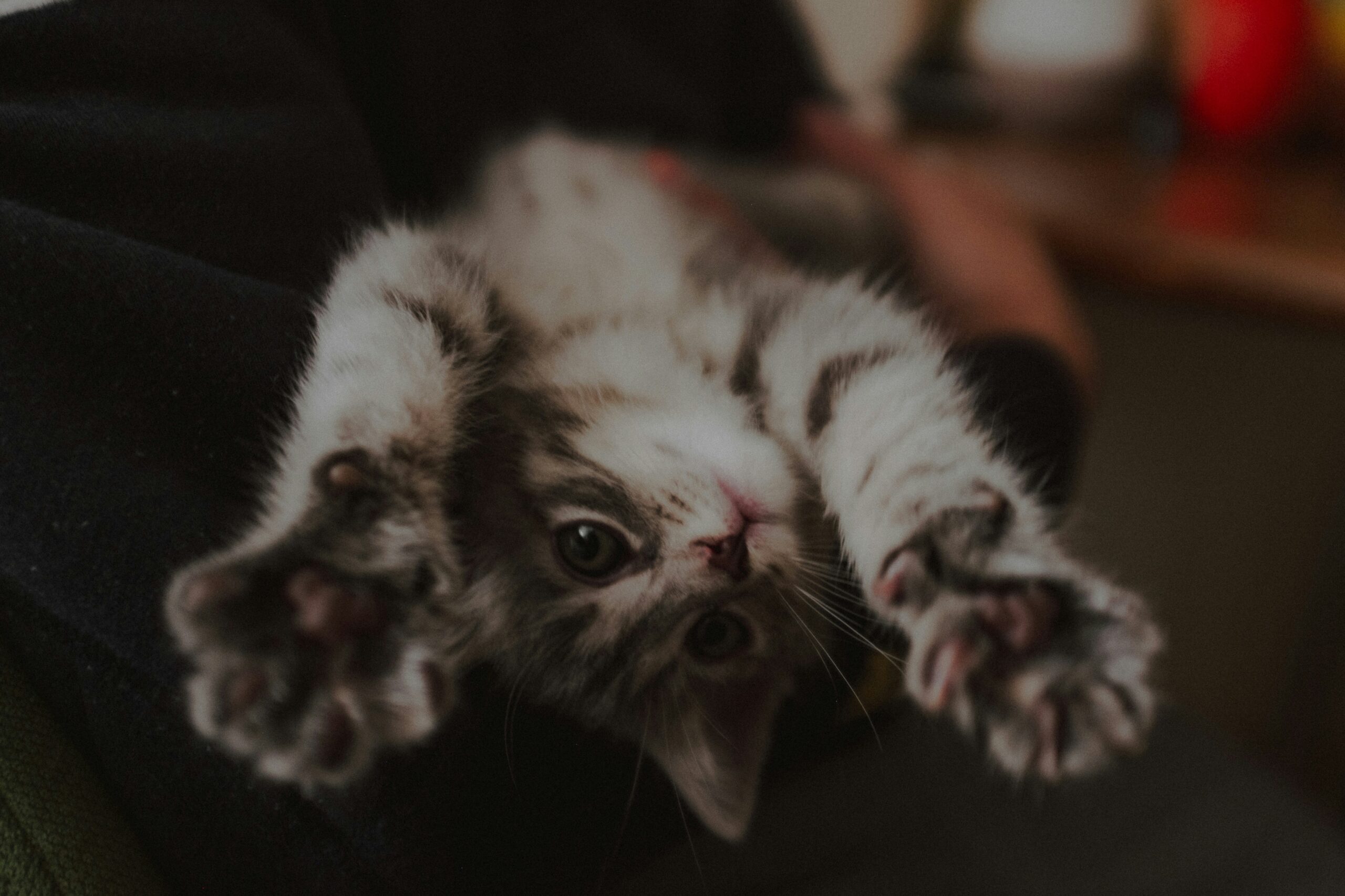 Ko telo ne razume ali zakaj se ne morem umiriti?!?